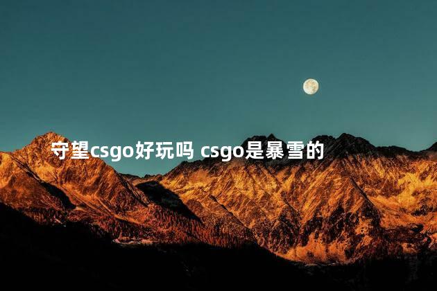 守望csgo好玩吗 csgo是暴雪的吗